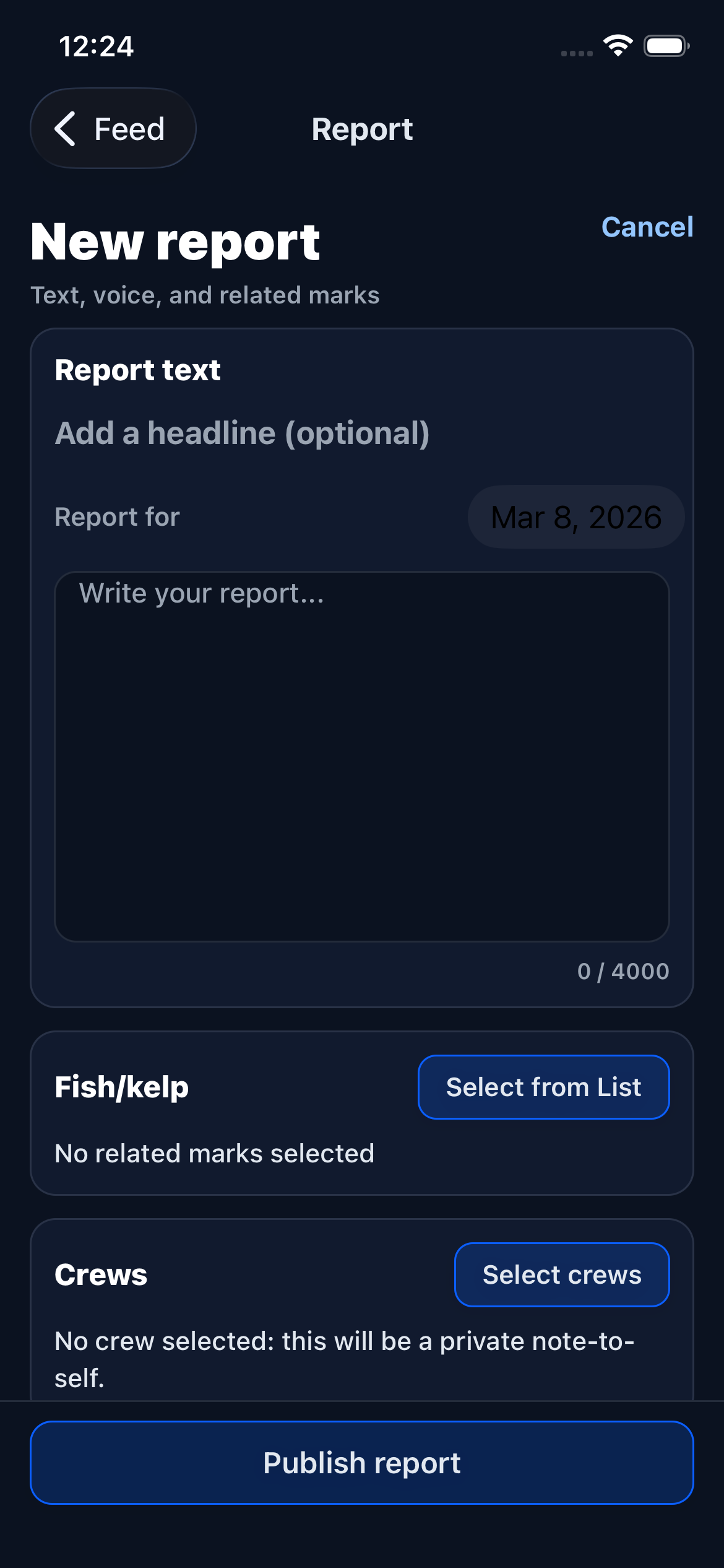 Report composer showing headline, text editor, and media options