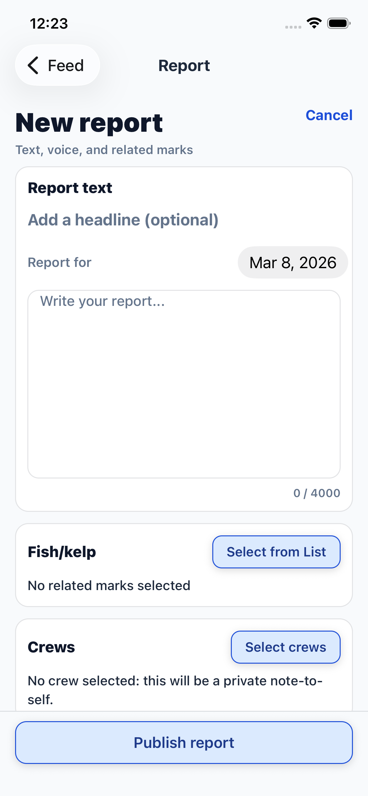 Report composer showing headline, text editor, and media options